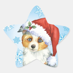 Adesito Estrela Happy Howlidays Mini American Shepherd