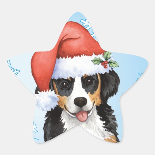 Adesito Estrela Howliday feliz Berner (Frente)