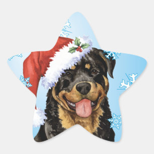 Adesito Estrela Howlidays feliz Rottweiler