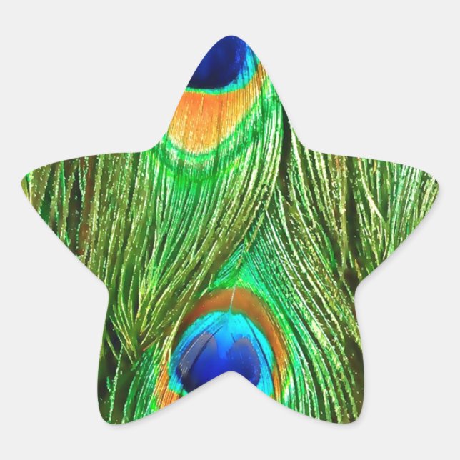 Adesito Estrela Impressão de Penas de Peacock Coloridas (Frente)