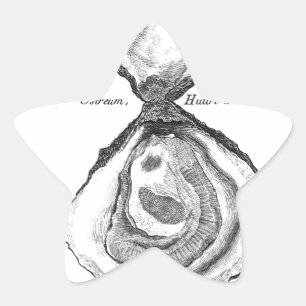 Adesito Estrela Impressão em animais de ostra de Vintage