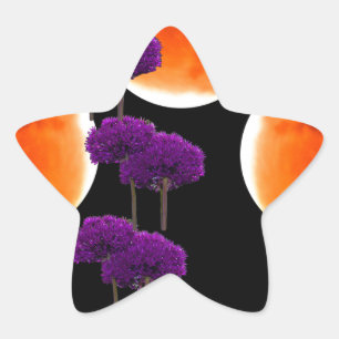 Adesito Estrela Intrusão Roxa