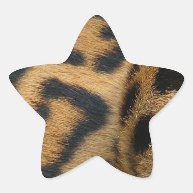 Adesito Estrela jaguar-1 (Frente)