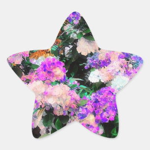 Adesito Estrela Jardim da mãe