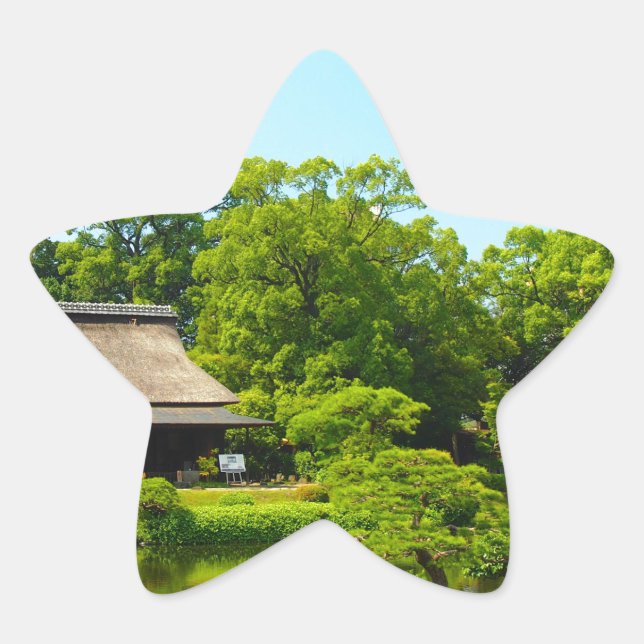 Adesito Estrela Jardim do Japão (Frente)