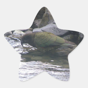 Adesito Estrela Kea