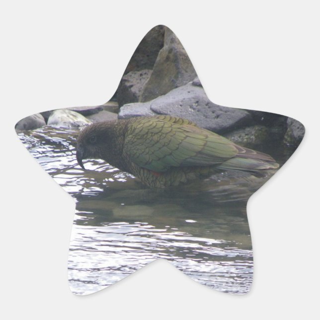 Adesito Estrela Kea (Frente)