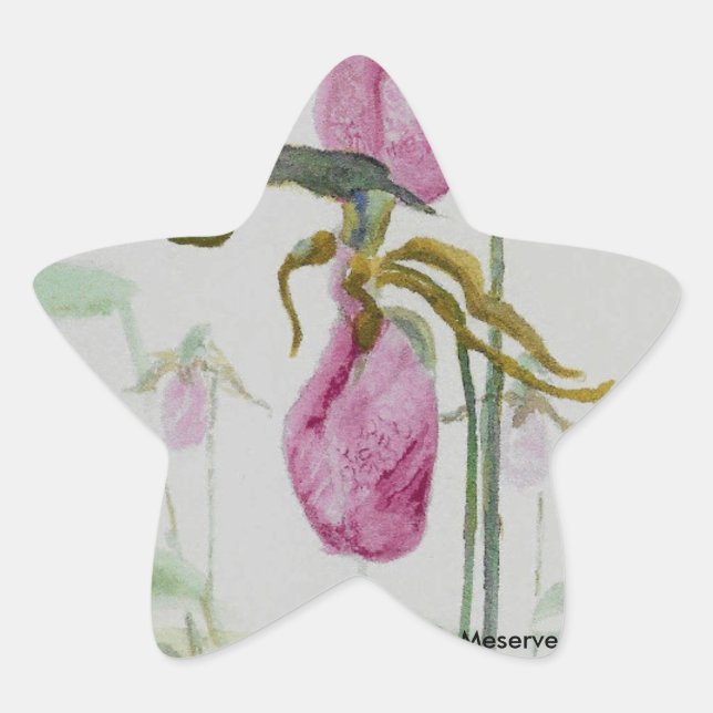 Adesito Estrela Lady Slippers (Frente)