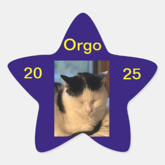 Adesito Estrela Lenny Sticker