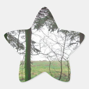 Adesito Estrela Limpeza da floresta no nevoeiro