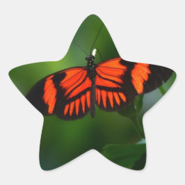 Adesito Estrela Linda borboleta vermelha e negra