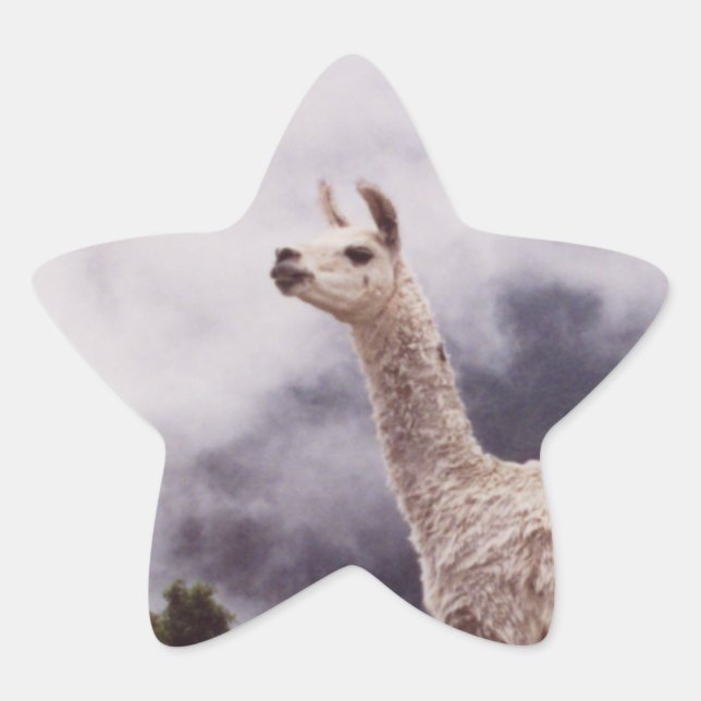 Adesito Estrela Llama Machu Picchu, Peru (Frente)