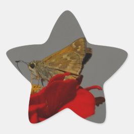 Adesito Estrela Mães e Zinnia Vermelha