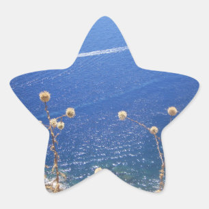 Adesito Estrela Mar azul grego