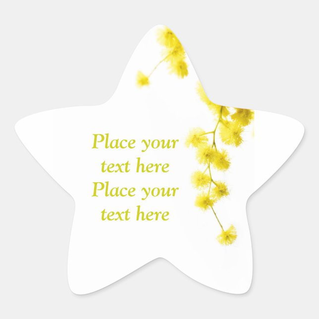 Adesito Estrela Mimosa (Frente)