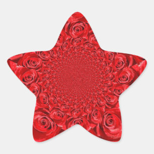 Adesito Estrela Mundo com rosa de Coloração: Fantasia Floral