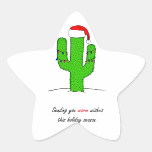 Adesito Estrela Natal do cacto