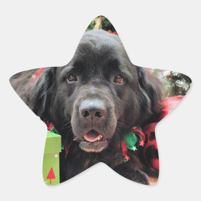 Adesito Estrela Natal - Terra Nova - Izzie (Frente)