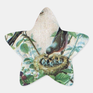 Adesito Estrela Ninho da Alegria: Amor Jovem Espirituoso da Famíli