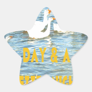 Adesito Estrela Nós sempre deixamos nossos clientes felizes e sati