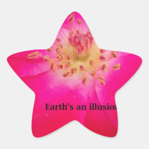 Adesito Estrela O Rosa Cósmico: Design de Decepção da Natureza