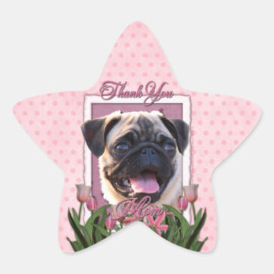 Adesito Estrela Obrigado - tulipas cor-de-rosa - Pug