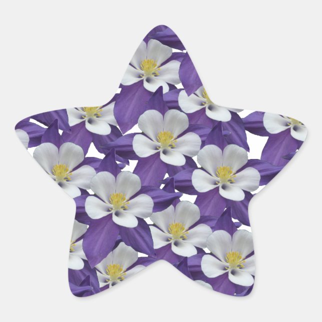 Adesito Estrela Padrão de Flor Columbina (Frente)