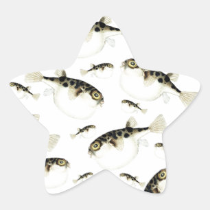 Adesito Estrela Padrões Brancos de Peixe Puffer