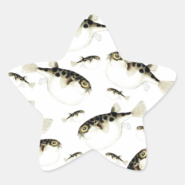 Adesito Estrela Padrões Brancos de Peixe Puffer (Frente)
