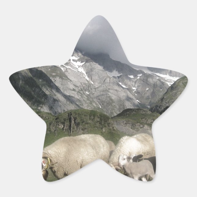Adesito Estrela paisagem de pirenéus (Frente)