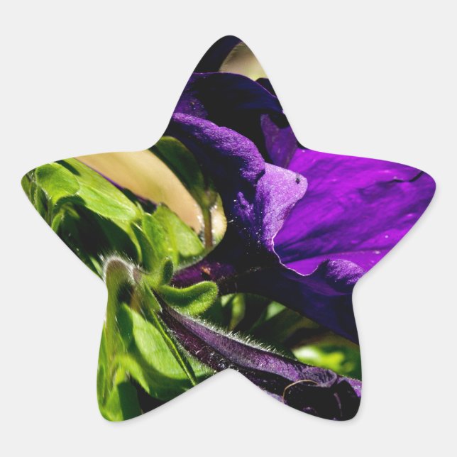 Adesito Estrela Pânico Roxo (Frente)