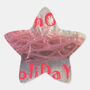 Adesito Estrela Papais noeis HoHo Feliz Natal das cores da praia