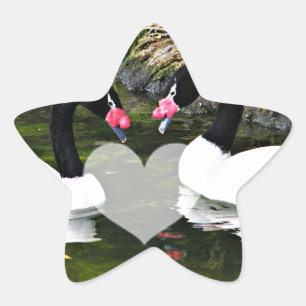 Adesito Estrela Para Sempre Seu, Sempre & Para Sempre_