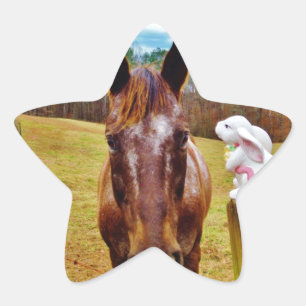 Adesito Estrela Páscoa Bunny e Cavalo Marrom