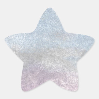 Adesito Estrela Pássaro Branco no pôr do sol da praia