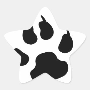 Adesito Estrela Pata do cão