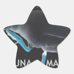 Adesito Estrela Pato com eu acordei como este texto do & Hakuna Ma