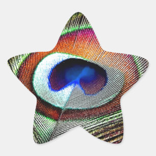 Adesito Estrela Pena Colorida de Pavão de Cobre