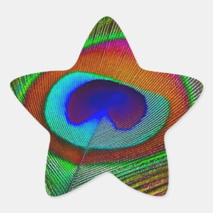Adesito Estrela Penas de Peacock de Cobre Vibrantes