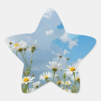 Adesito Estrela Pétalas Beijadas pelo Sol