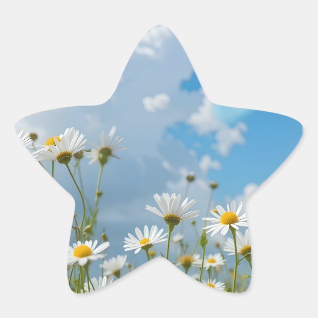 Adesito Estrela Pétalas Beijadas pelo Sol (Frente)