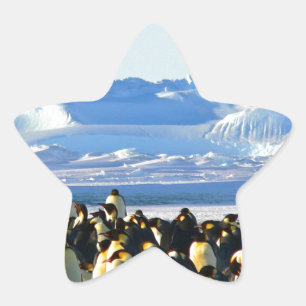 Adesito Estrela Pinguins imperadores
