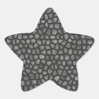 Adesito Estrela Piso de pedra