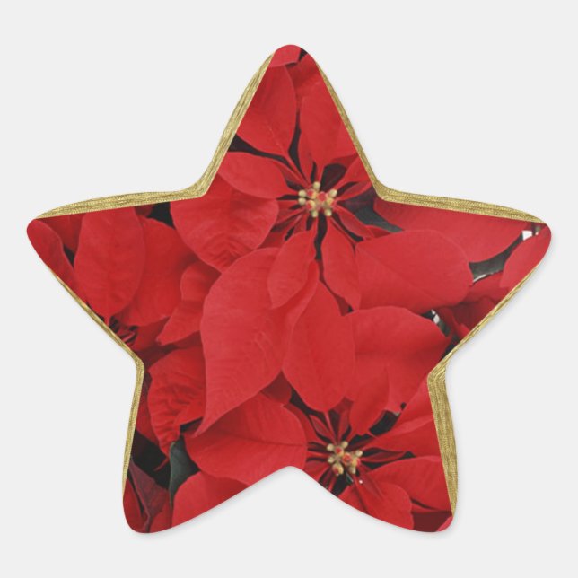 Adesito Estrela Poinsettias em forma de estrela de Natal (Frente)