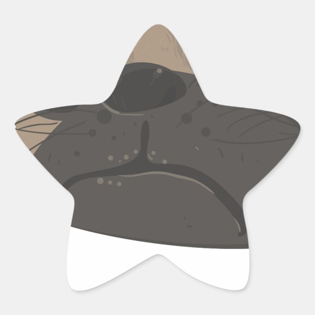 Adesito Estrela Pug e café (Frente)