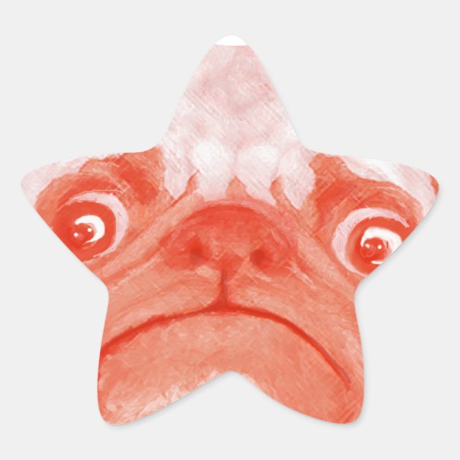 Adesito Estrela PUG_orange3.png (Frente)