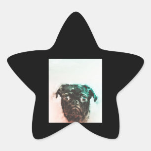Adesito Estrela Pug Watercolor Cachorro Cachorro Cachorro