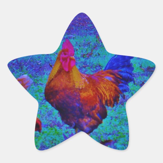 Adesito Estrela Rainbow Rooster & Hens, Blue Elétrico (Frente)