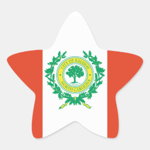 Adesito Estrela Raleigh, Bandeira da Carolina do Norte