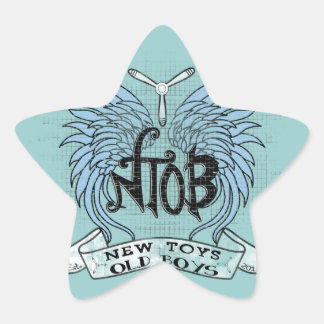 Adesito Estrela RC Airplane Club Vintage